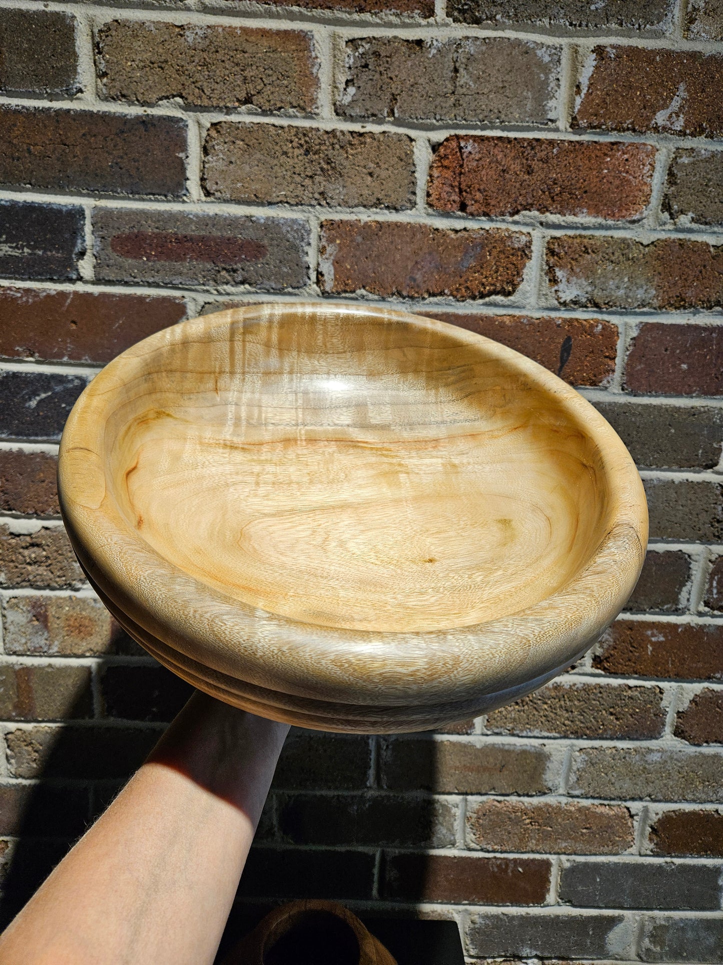 Camphor Laurel Beaded rim design Bowl