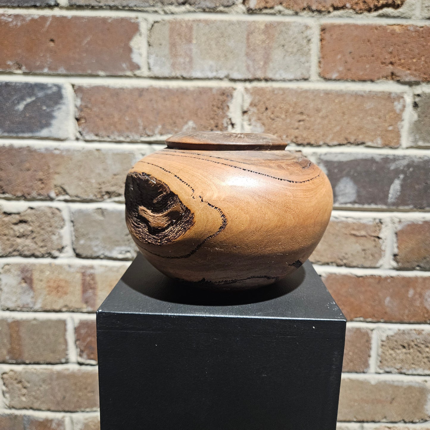 Eucalyptus Live Edge Rim Bowl