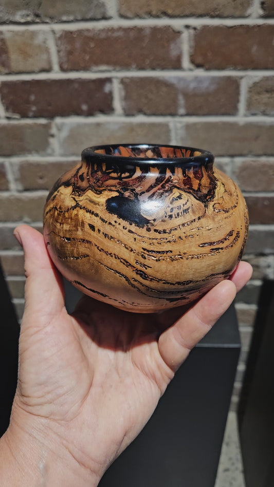 Eucalyptus Burl Bowl- blue/black resin rim