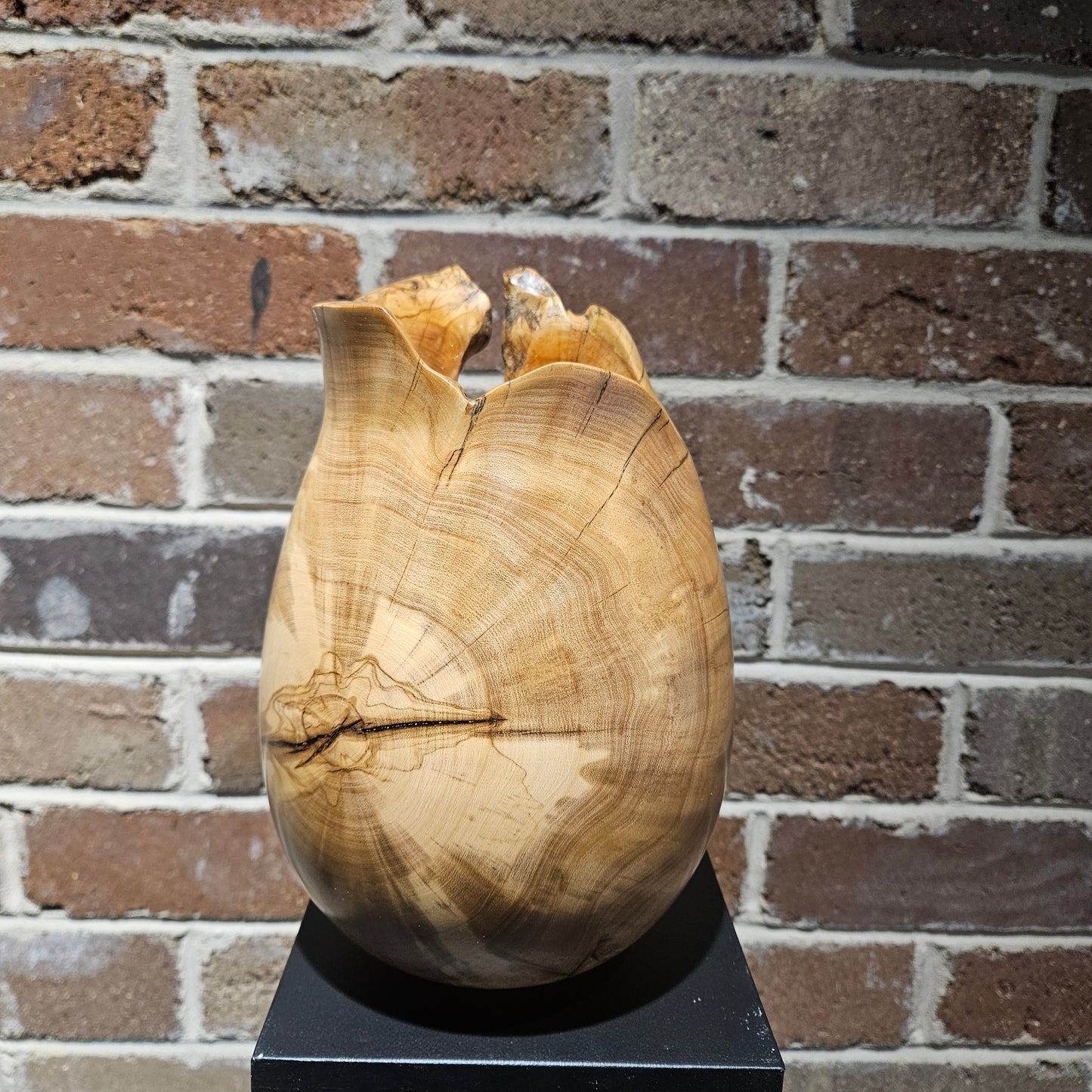 Live Edge Olive Wood Vase