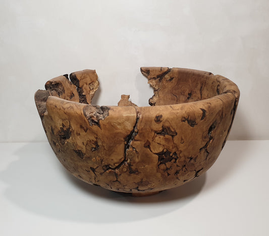 Large Olive Root Burl Bowl