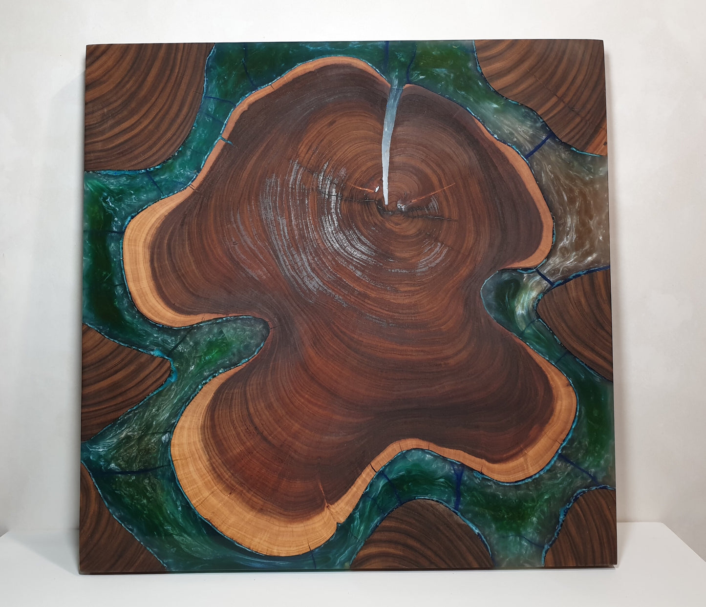 Sally Wattle Wood with Multi-coloured Resin - Table Top/Wall Art
